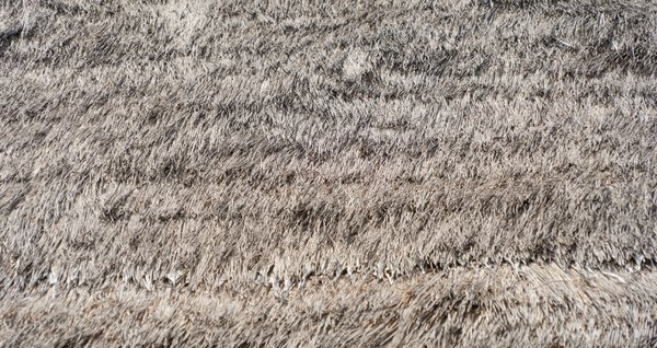 Optimisez votre jardin: brande de bruyère en panneau